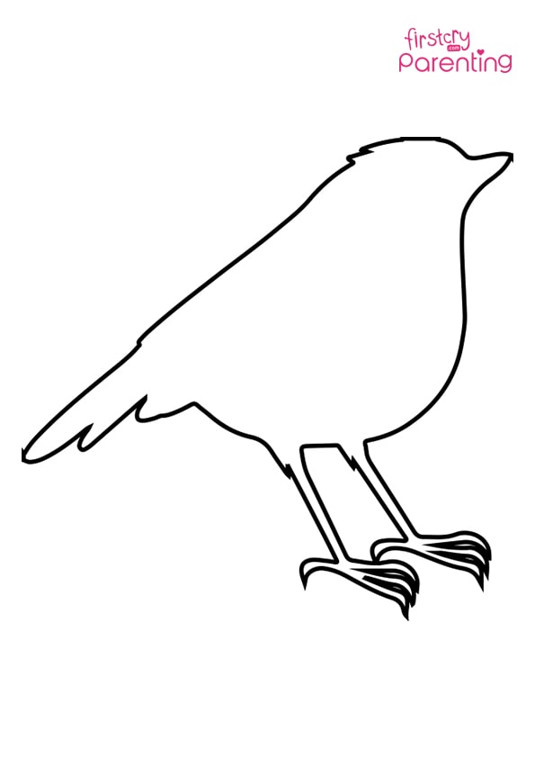 robin coloring pages for children
