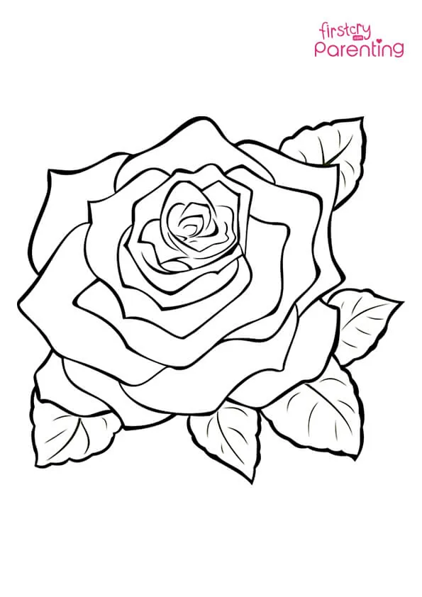 Rose Blossom Coloring Page Colouring Pages