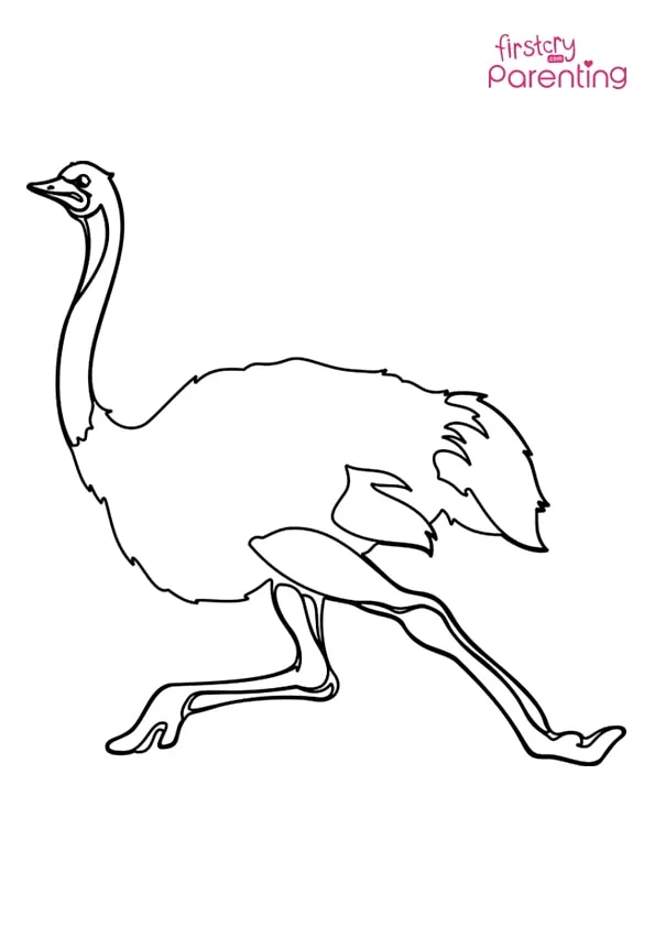 Running Ostrich Coloring Page Running Ostrich Coloring Page