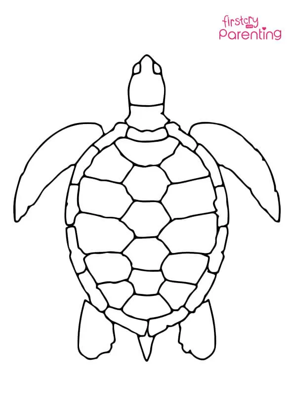 Sea Turtle Coloring Page Colouring Pages Sea Turtle Coloring Page Colouring Pages