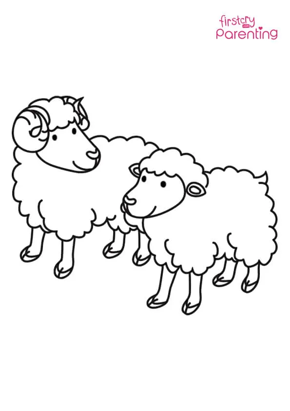 Sheep Ram And Ewe Coloring Page Colouring Pages Sheep Ram And Ewe Coloring Page Colouring Pages