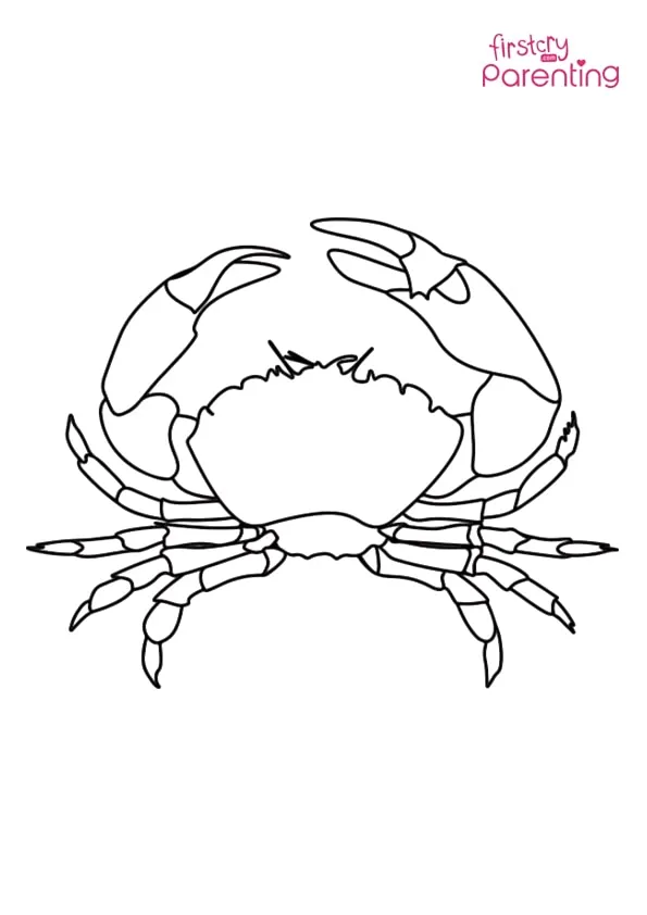 Simple Crab Coloring Page Colouring Pages
