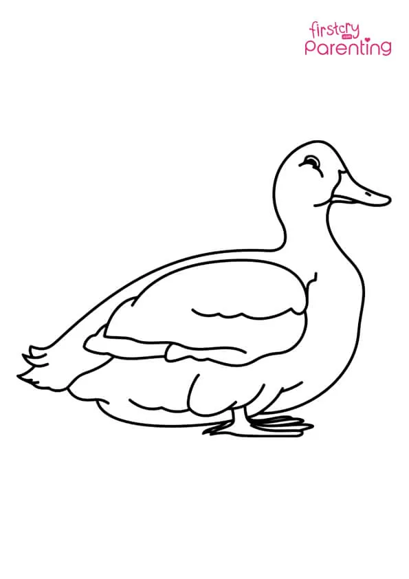 Simple Duck Coloring Page Colouring Pages