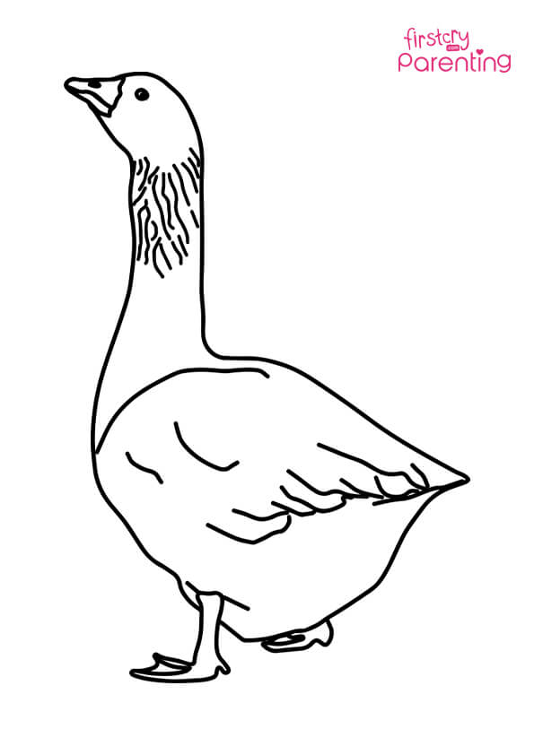 Simple Goose Coloring Page for Kids | FirstCry Parenting