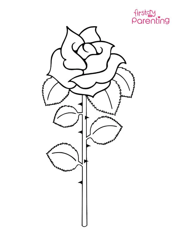 Simple Rose Coloring Page Colouring Pages