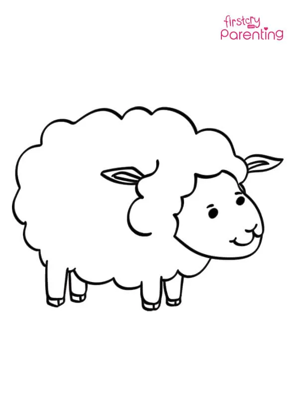 Simple Sheep Coloring Page Colouring Pages Simple Sheep Coloring Page Colouring Pages