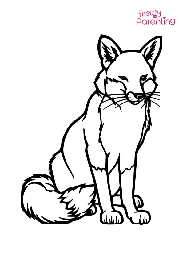 Sitting Fox Coloring Page Colouring Pages Sitting Fox Coloring Page Colouring Pages