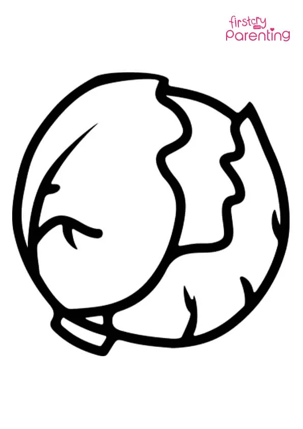 Small Cabage Coloring Page Colouring Pages Small Cabage Coloring Page Colouring Pages
