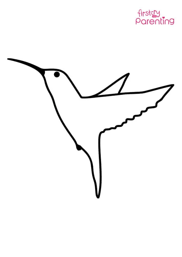 Small Hummingbird Coloring Page Colouring Pages