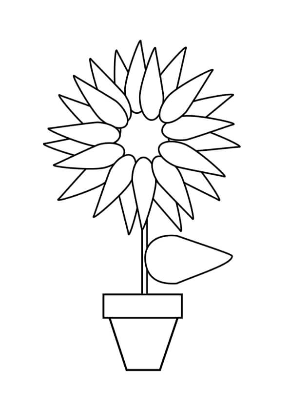 Sunflower Colouring Pages