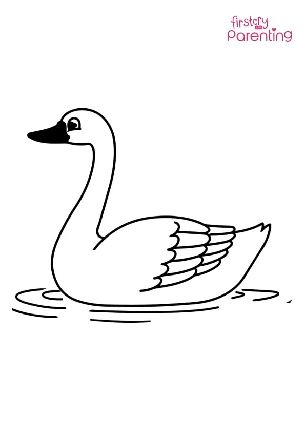 Swan Bird Water Nature Coloring Page