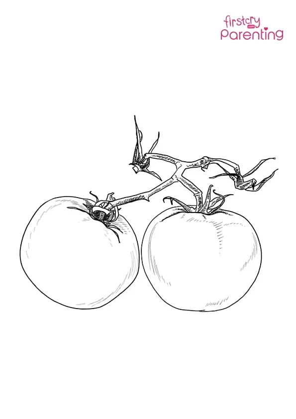 Tomato Vegetable Coloring Page