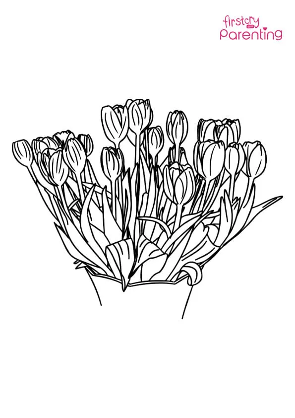 Tulip Coloring Page Colouring Pages Tulip Coloring Page Colouring Pages