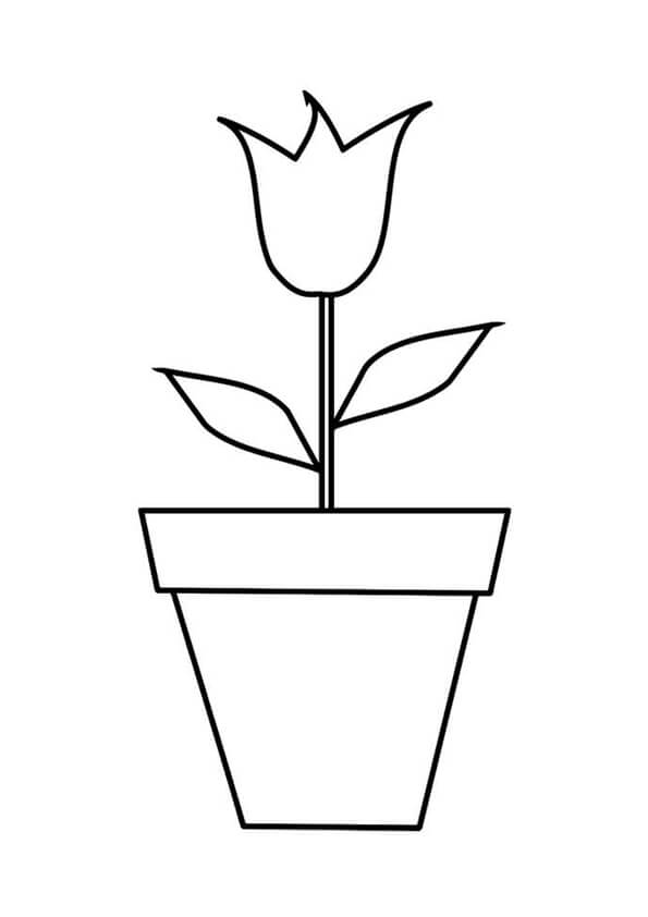Tulip Colouring Pages