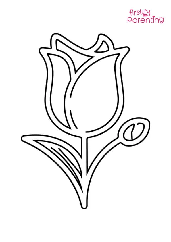 Tulip Stem Coloring Page Colouring Pages Tulip Stem Coloring Page Colouring Pages