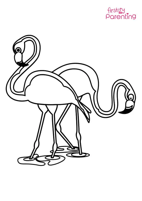 Two Flamingos Coloring Page Colouring Pages