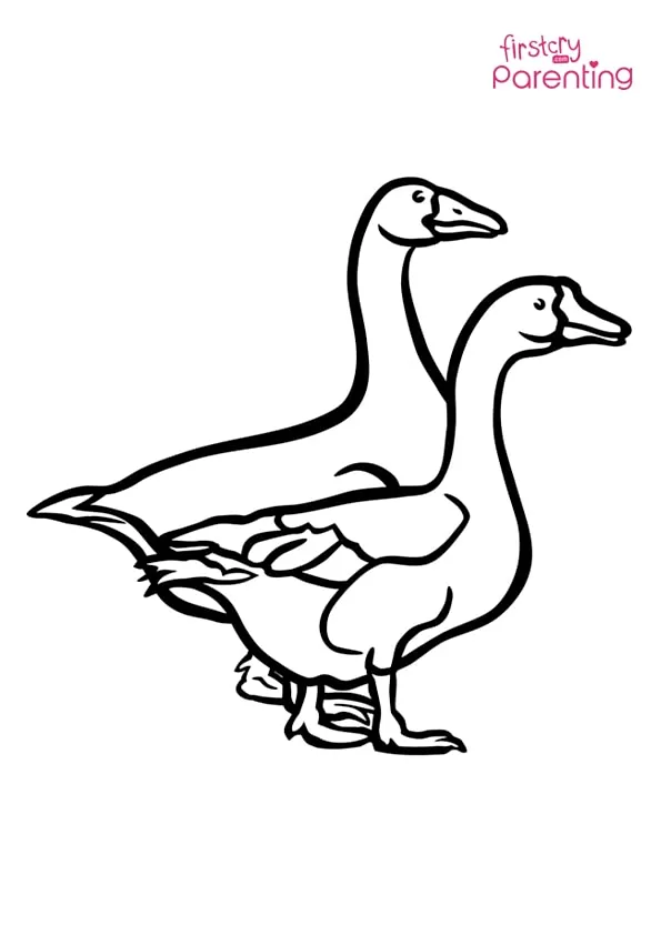 Two Geese Coloring Page