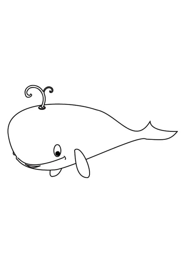 Whale Colouring Pages Whale Colouring Pages