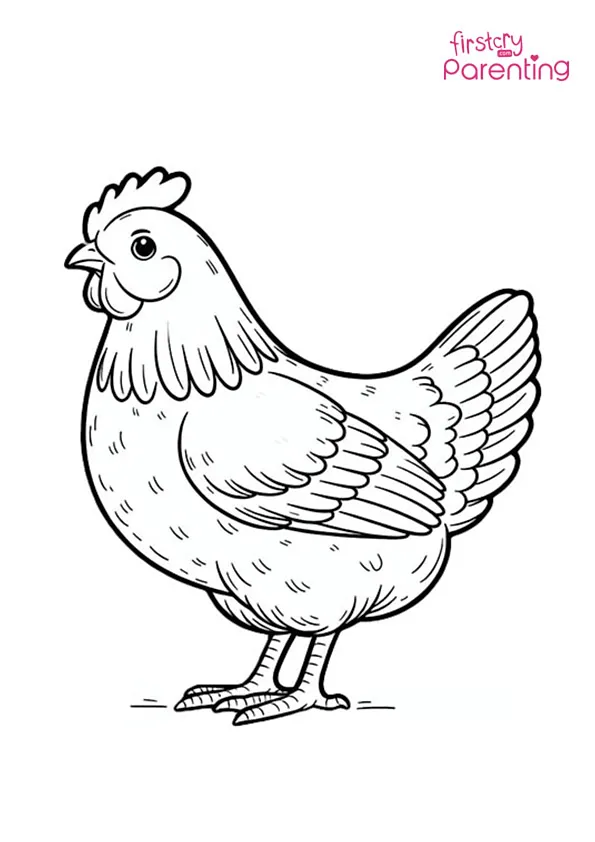 Chicken Colouring Pages