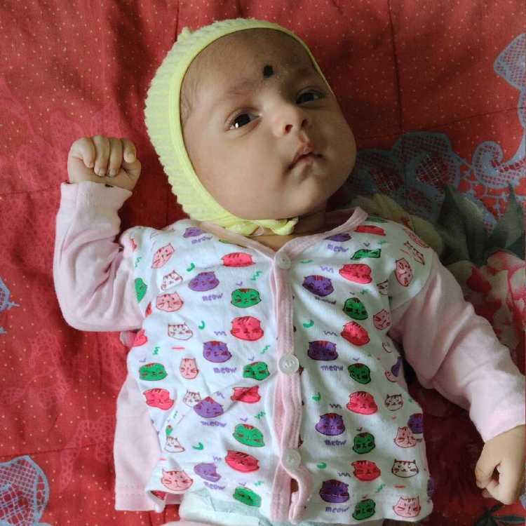 profile image of Mitali Sohan Bhole