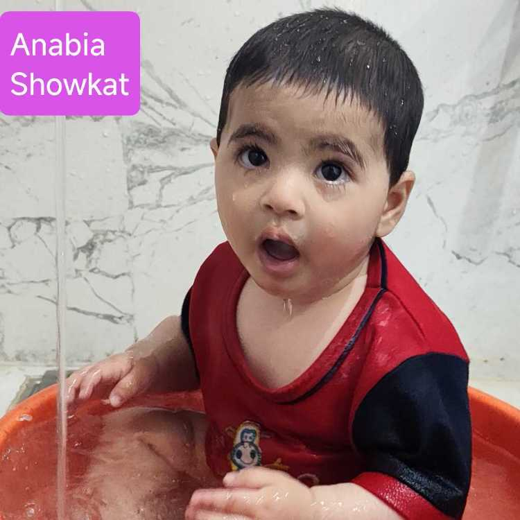 profile image of Showkat Parvaiz Wani