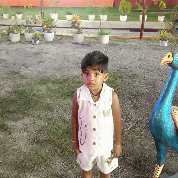 profile image of Tulika Saha