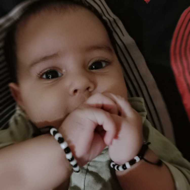 profile image of Aleena Siddiqui