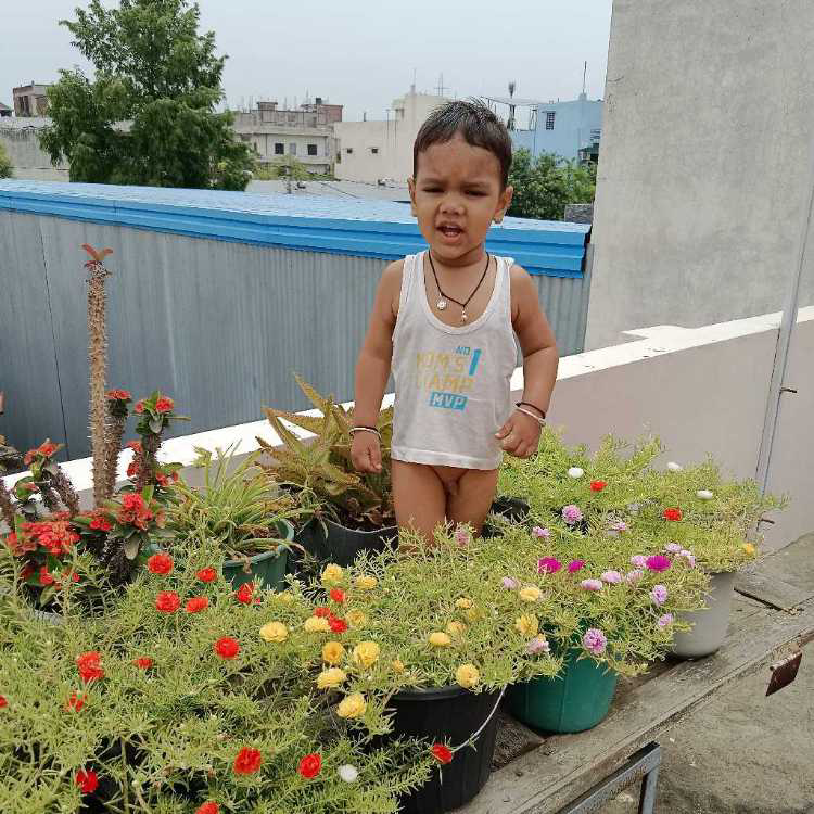 Niranjan saini profile image of Niranjan saini