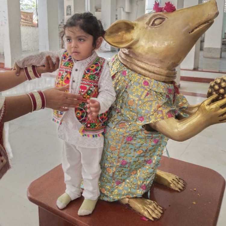 profile image of taruna solanki