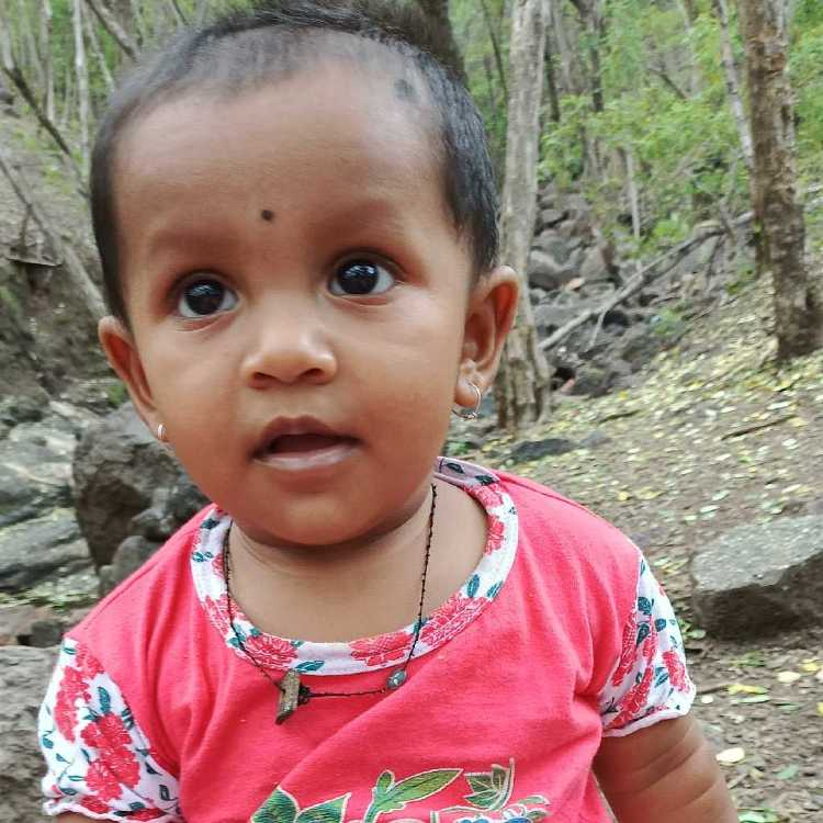profile image of Vaishnavi Pravin