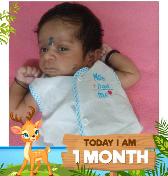 profile image of Vishnu Priya
