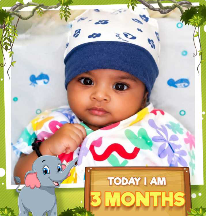 profile image of Chetna Tekam