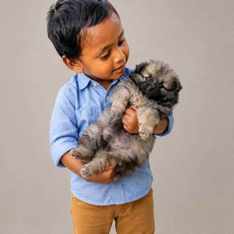 profile image of DEVANSH SURYA