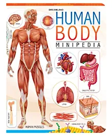 Human Body Minipedia Knowledge Encyclopedia For Children, Encyclopedia Book for Kid, Heart, Circulatory, Brain & Nervous System | Books for kids | 48 Pages | Paperback