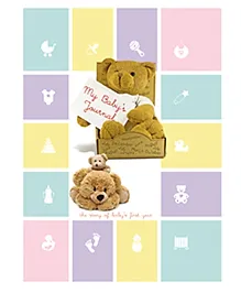 Tiara Diaries My Baby's Year Journal Record Book - Pink