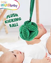 Intellibaby Premium Plush Soft Kicking Ball | Sensory Developmental Ball for Babies & Toddlers | Textured & Colourful | Baby Gift for Toddlers | Multicolour | BIS Certified | Perfect for Newborns