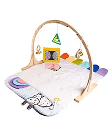 Curious Cub Baby Play Gym-Playmat,Multi Color,