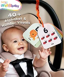 Intellibaby First High-Contrast Visual Brain Flashcards Alphabet & Numbers |  Early Literacy & Numeracy | Visual Stimulation | Multicoloured | Gifting | Paediatrician Approved | BIS Certified