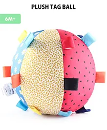 Intellibaby Premium Plush Tag Ball | Colourful Sensory Developmental Ball | Bright & Vibrant Colours|Crinkling Sound Toy for Babies & Toddlers | Soft Bell Sound Ball | BIS Certified | Paeditrician Recommended| Perfect for Infants